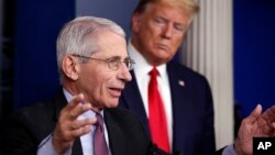 Ông Anthony Fauci, một thành viên nổi bật trong nhóm ứng phó với virus Corona của Nhà Trắng.