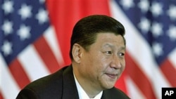 Chinese Vice President Xi Jinping and US counterpart Joe Biden [no shown] attend a meeting with US and Chinese business leaders at the Beijing Hotel in Beijing, China, August 19, 2011.