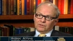 Аслунд: "Старі" олігархи не підтримують Януковича