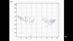 Scientists Unlock Mystery of Bird Flocks