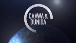 Caawa iyo Dunida