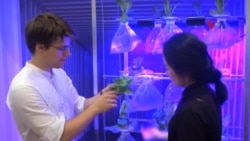 Trang trại nổi trên tàu vận tải