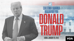 Caleemo-saarka Trump