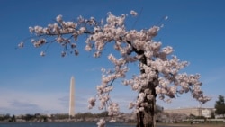 《建國史話》第109集：北軍火燒亞特蘭大 奪回雪蘭多河谷