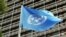 U.N. flag