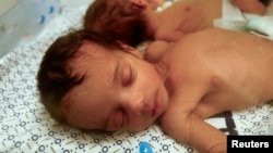 Nedonošče iz bolnice Al Šifa u porodilištu u Rafi (foto: Rojters/Ibraheem Abu Mustafa)
