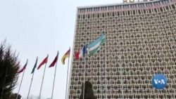 Xorijda yetishgan kadrlar O'zbekistonga qanchalik kerak?