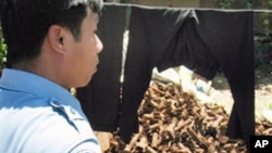 A deminer from the Cambodian Mine Action Center looks over a pile of derelict artillery shells and hand grenades at a scrap yard in Poipet, northwest Cambodia. After decades of war, Cambodia is awash in live bombs, (File)