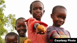 The FAO has released the first edition of its regional Overview of Food Insecurity in Africa. West Africa leads continent in progress. (Credit: FAO)