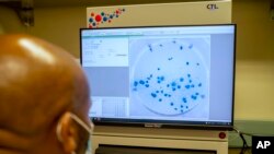 Un investigador del Africa Health Research Institute, en Durban, Sudáfrica, analiza datos de la variante ómicron en una pantalla, el 15 de diciembre de 2021.