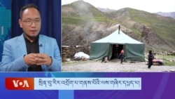 སྲིན་བུ་རིར་འབྲོག་པ་གནས་སྤོའི་ལས་གཞིར་དཔྱད་པ། 