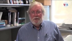 Profesor de Miami acusado de lavado de dinero