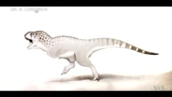 Newly ID'd Fossil Shows Unique African Dinosaurs