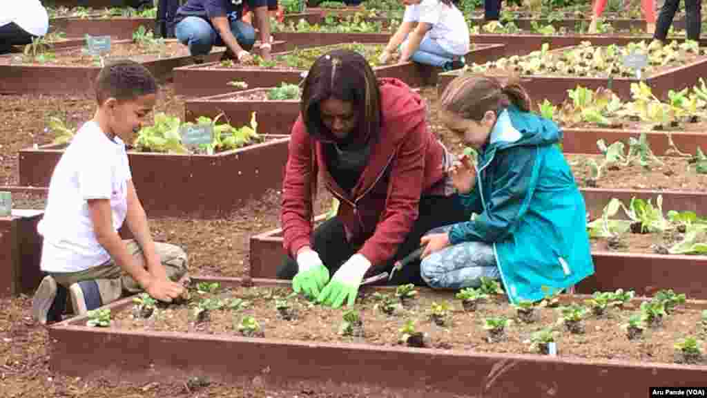First Lady Michelle Obama is joined by school children as they plant spinach in the White House Kitchen Garden.