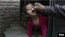 په روان میلادي کال کې په افغانستان کې د پولیو د پېښو شمېر ۲۳ ته ورسېد.