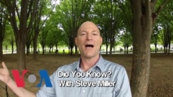 Did you know this about the Korean War Memorial?