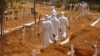 Researchers Warn of Ebola Fallout 