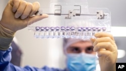 一名辉瑞技术人员在比利时的一处辉瑞公司的设施里检测新冠疫苗。（2021年3月）