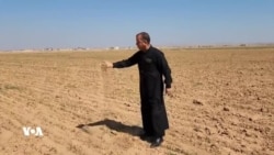 Tunebûna Baranê Çandinîya Kobanî Xistîye Rewşeke Dijwar