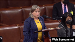 Kongresmenka Susan Wild