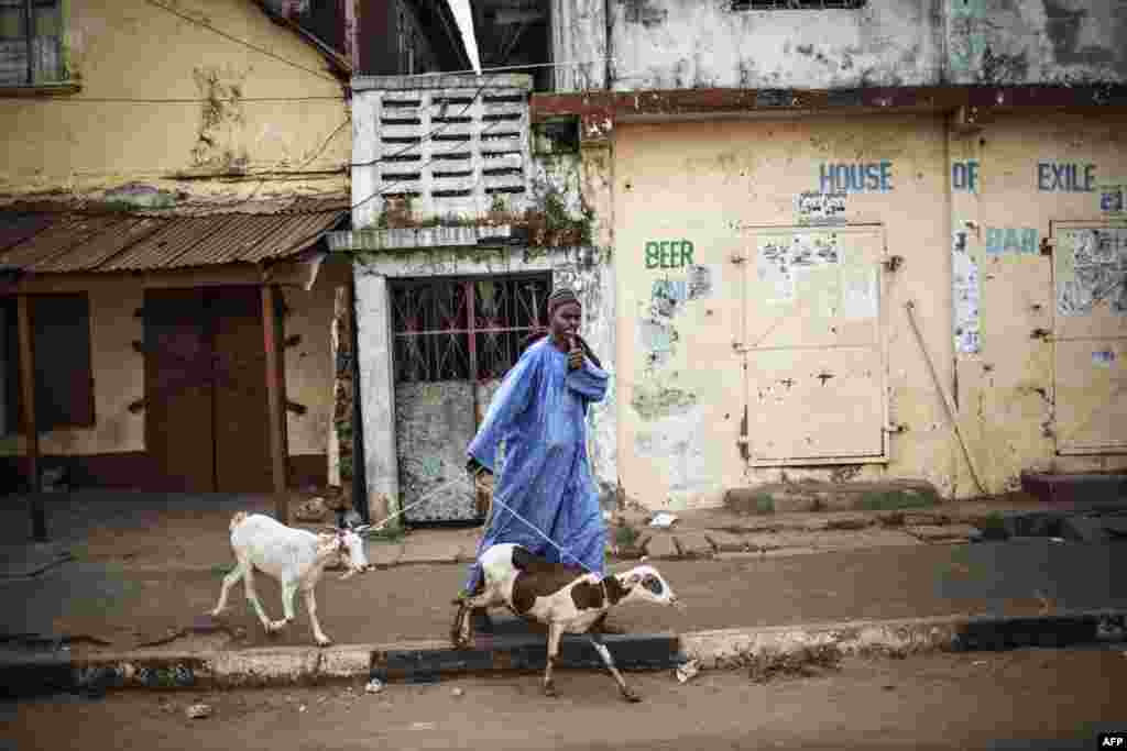 Seorang pria membawa dua ekor kambing memberikan tanda &quot;jempol&quot; kepada parade partai politik (tidak terlihat) di Banjul, Gambia.