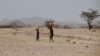 FILE - Turkana people carry water near Lodwar, in Turkana County, Kenya, Feb. 7, 2018. 
