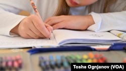 Министерката вели дека учениците ќе имаат можност да учат повеќе за предметите и областите што ги сакаат.