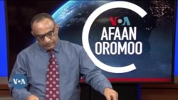 Tamsaasa Guyaadhaa Guyyaa