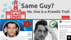 Polygraph Disinfo News Kremlin Trolls