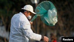 A public park staff catches a dove at a public area in downtown Shanghai Apr. 6, 2013. Shanghai's government has ordered workers to remove pigeons from public areas to prevent the spread of H7N9 bird flu to humans, local media reported.