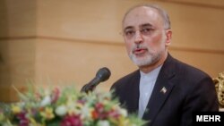 Kepala program nuklir Iran (IAEO), Ali Akbar Salehi di Teheran (Foto: dok).
