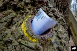 โพรงต้นไม้ที่ถูกใช้เป็นกล่องรับจดหมายมาตั้งแต่ปี 1892 หรือ 133 ปีก่อน