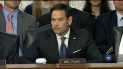 Сенатори вимагали у директорів розвідки США інформацію про наявність втручання президента у розслідування щодо Росії. Відео