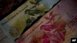 This Oct. 20, 2018 photo shows Bolivar bank notes decorated with images of Venezuela's red siskin bird, as part of rescue program in Caracas, Venezuela. 