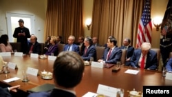 Elon Musk speaks as U.S. President Donald Trump hosts his first cabinet meeting at the White House in Washington.