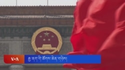 ཆབ་སྲིད་གྲོས་ཚོགས་ཀྱི་མགྲིན་ཚབ་པ། 