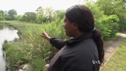 Rising Seas Push US Republican Lawmaker to Buck Party