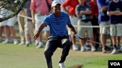 Tiger Woods no gana un título desde el Masters de Australia de 2009, o sea con las manos vacías en 22 torneos. Todos después que se hicieran públicas sus infidelidades en noviembre de ese mismo año.
