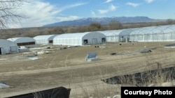 新墨西哥州纳瓦霍族保留地部分被查封的大麻农场 （Lynn Sanchez 拍摄）