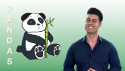 Everyday Grammar: Present Unreal Conditionals