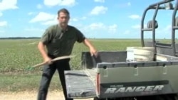 Dehqon va qonun, og'ir kunlarda yordam kerak/ Farm Bill in US 