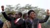Mugabe's Wife Poised to Take Role in Zimbabwe's Ruling Party