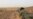 Tuareg Separatists Seize North Mali Town in Battle