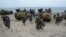 FILE - South Korean marines run out from amphibious assault vehicles after landing on the beach during a combined military amphibious landing exercise between South Korea and the U.S., in Pohang, South Korea, Sept. 2, 2024.