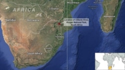 Kruger National Park, South Africa