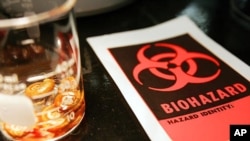 FILE - Biopholaria Glabrata snails, the intermidiate hosts of the Schistosoma mansoni worms, University of Georgia Center for Tropical and Emerging Global Diseases, Athens, Ga.