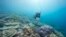 In this undated photo provided by the Great Barrier Reef Marine Park Authority, a diver monitors the health of the Great Barrier Reef off the Australian coast.