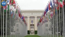 O'zbekiston BMT Inson huquqlari kengashiga saylandi