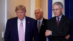 Президент та віце-президент США прибули на щоденний брифінг щодо коронавірусу у Білому домі. З ними - доктор Ентоні Фаучі, директор Національного інституту з питань алергії та інфекційних хвороб США 