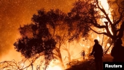 Firefighters knock down flames as they advance on homes atop Shepherd Mesa Road in Carpinteria, California, Dec. 10, 2017. (Santa Barbara County Fire Department/Handout via Reuters)